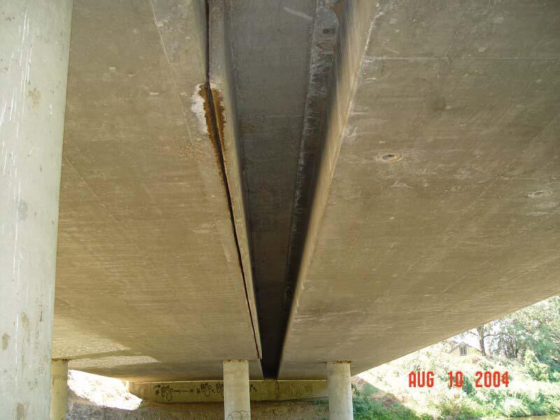 In the concrete panels, the bats roost in the crevice between the 6-inch-thick I-beam and the panel.