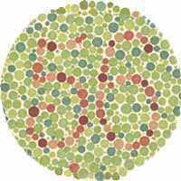 Tests for Normal Color Vision Inability to distinguish