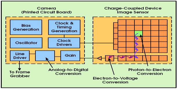 converts the charge into a voltage 13 How CCD Sensors Record Color Each CCD cell in the CCD array produces a single value independent of color.