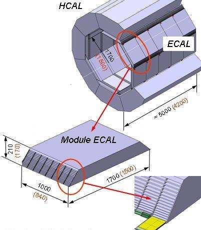 Introduction Work done within the CALICE collaboration Baseline ECAL design: v Sampling calorimeter, alternating thick conversion layers (tungsten) and thin detector layers (silicon) v Around 2 m