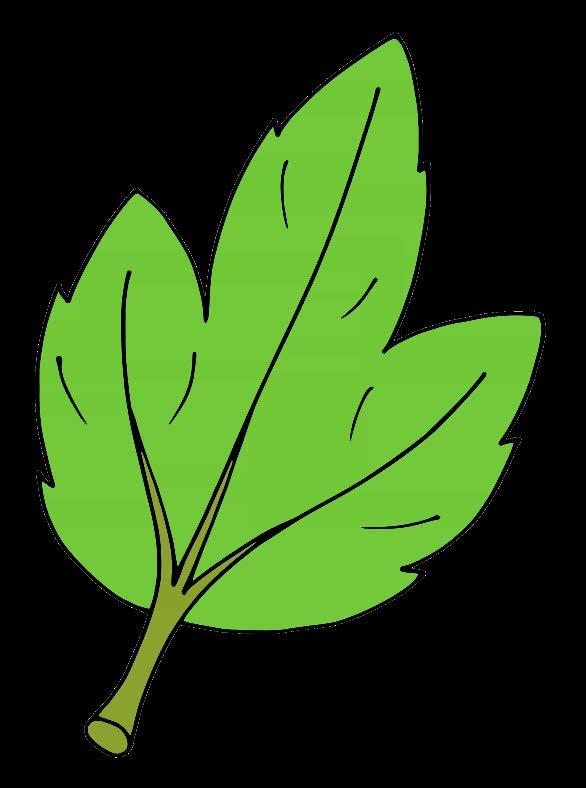 lion leaf