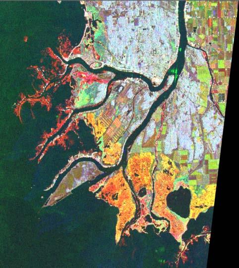 LANDSAT can be used to identify a broad spectrum of land cover types Radiant energy reflectance from vegetation varies depending on features