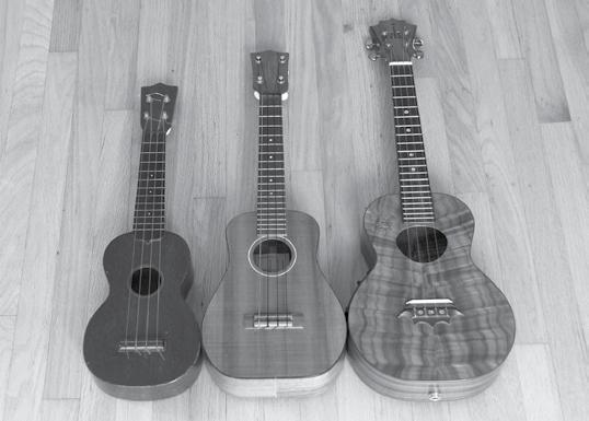 A Little History Teacher s Guide Though typically thought of as a uniquely Hawaiian instrument, the provenance of the ukulele can be traced to small stringed instruments from Portugal such as the