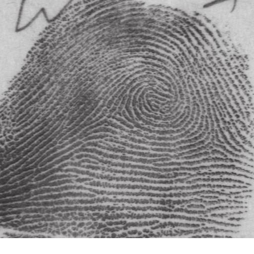 14 research has explored the use of hand geometry in conjunction with fingerprints and low-resolution palmprints in a multibiometric configuration for improved accuracy. 4.