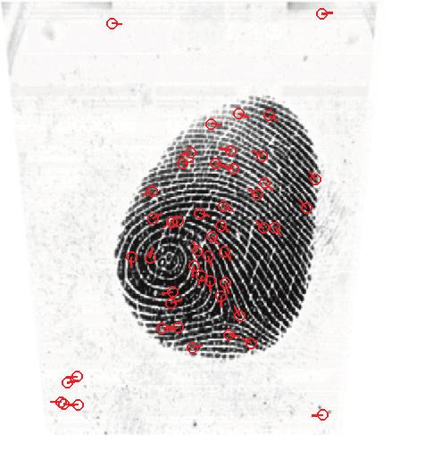 The match score between these two fingerprints is 216 which indicates a high similarity (the threshold at FAR=0% for this matcher on FVC2002 DB1-A is 51).