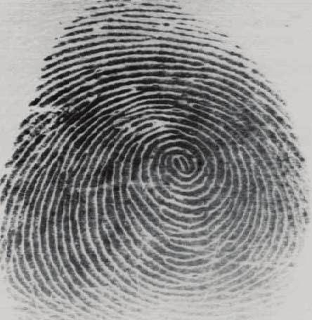 5 Fingerprint Face Palmprint Iris Deoxyribonucleic Acid (DNA) Signature Palmvein Gait Periocular Hand geometry Fingervein Keystroke