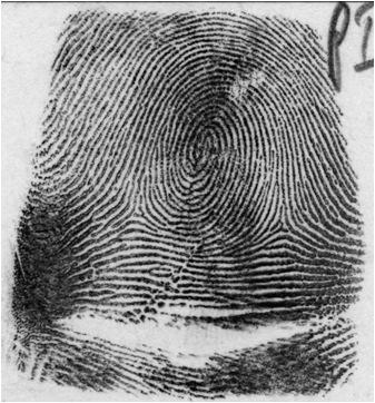 (a) Rolled fingerprint, (b) plain fingerprint, and (c) latent fingerprint.