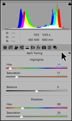 near the end of the slider. By adjusting both sliders to the same number you can apply the same tone the entire image.