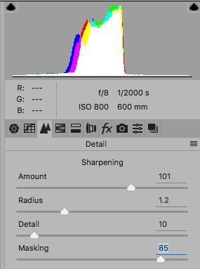 SHARPENING IN ADOBE CAMERA RAW Before sharpening, display the image at 100% magnification and make whatever adjustments are necessary in