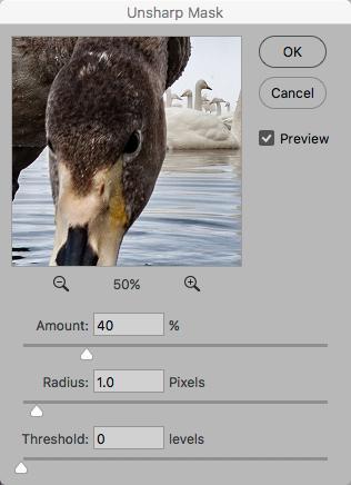 When you select the Unsharp Mask filter you will see this window: To select the part of the image that will appear in the small preview window just click the mouse on that spot on the main image.