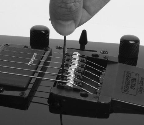 Figure 5 5: Trussrod Adjustment - All guitar necks are subject to great stress as a result of string tension, humidity or changes in climate.