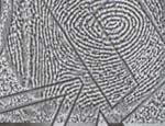 Fingerprint recognition X X 1/18/2011