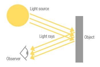 We see objects because light bounces off