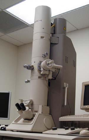 The light vs electron microscope Light microscope (LM) Scanning