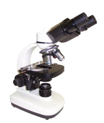 Focusing a Microscope On scanning and low power, use the Coarse