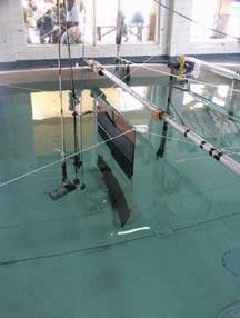 ABR measurements Porpoise start position at poolside Underwater station