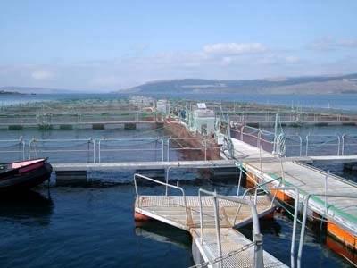 Coastal fish farm Problems: Direct predation, stress (poor growth, lower immunity),