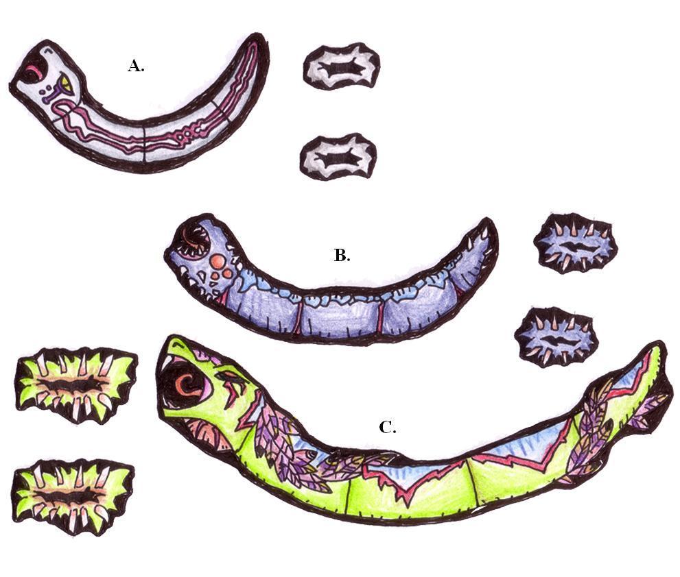 The snakes and their burst pieces: A. The divine serpent B. The demon serpent C.