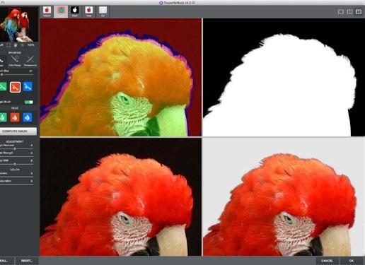 11. To fix this, you ll want to work with your Primary (basic) brushes with the Magic Brush enabled. 12.