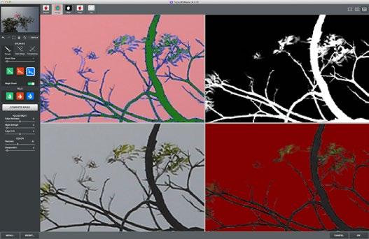 Referring to the tri-map where branches or parts of the image may be missing will help you during the refinement process.