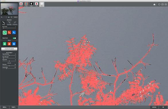Another way to make refinements is to switch to Cut view mode (shortcut key 5). As you can see below, it s now easier to identify what parts of the tree s branches still need work.