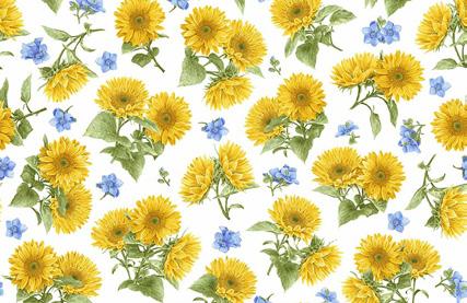 Sunflowers 1379-7