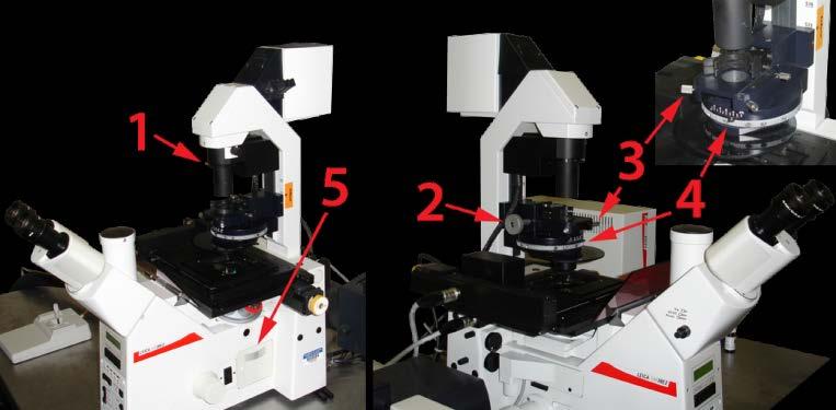 Transmitted light bright field viewing Setting up the microscope 1. Using the Fluorescent filter cube changer keys, choose the position marked with the number 4 (Laser or Transmitted light). 2.