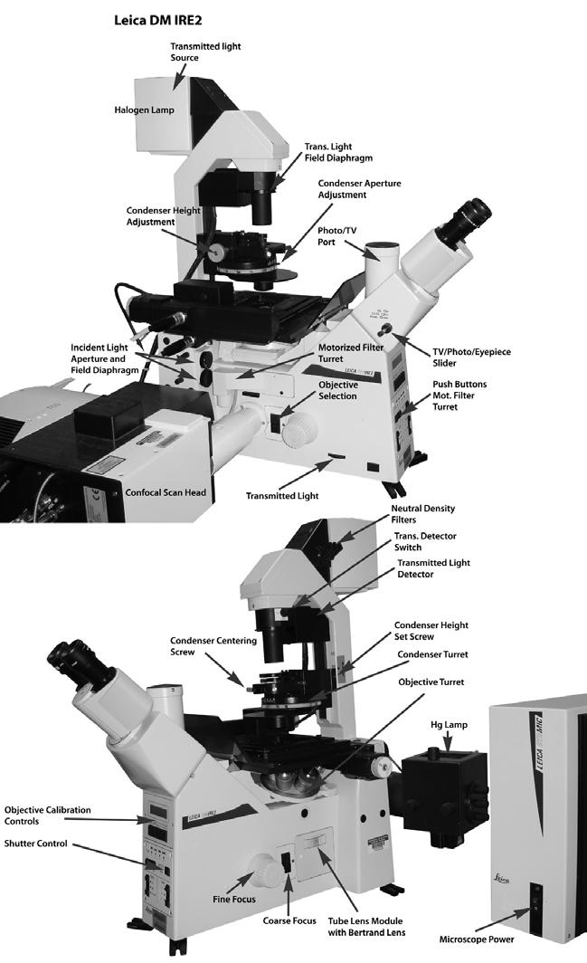 The Leica SP2 confocal microscope system: Overview Figure 1 The Leica SP2