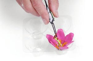 Dot ends of the stamen with marker for color. Roll the stamen.
