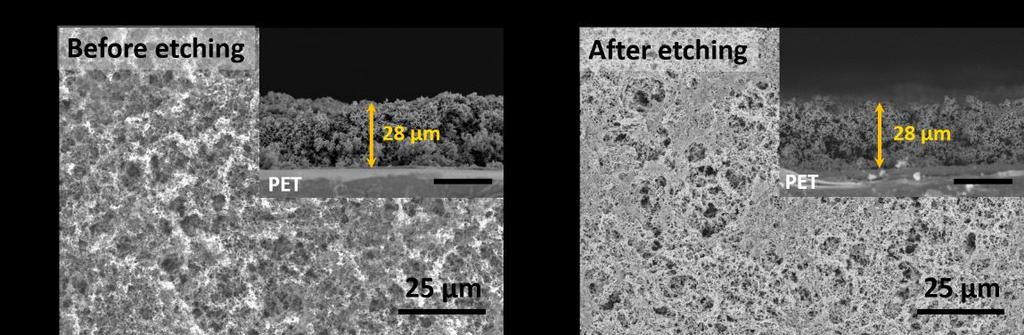 Figure S2. SEM images of polyaniline nanofibers (a) before and (b) after Au etching.