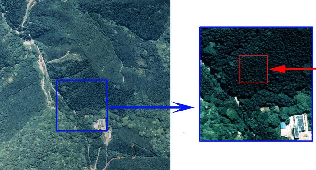 Satellite Simulation Image from an Aerial Photograph Target
