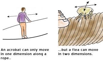 How can there be extra dimensions?
