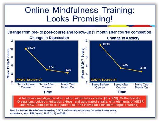 We ve included one example below. You can research this program at www.bemindfulonline.com.