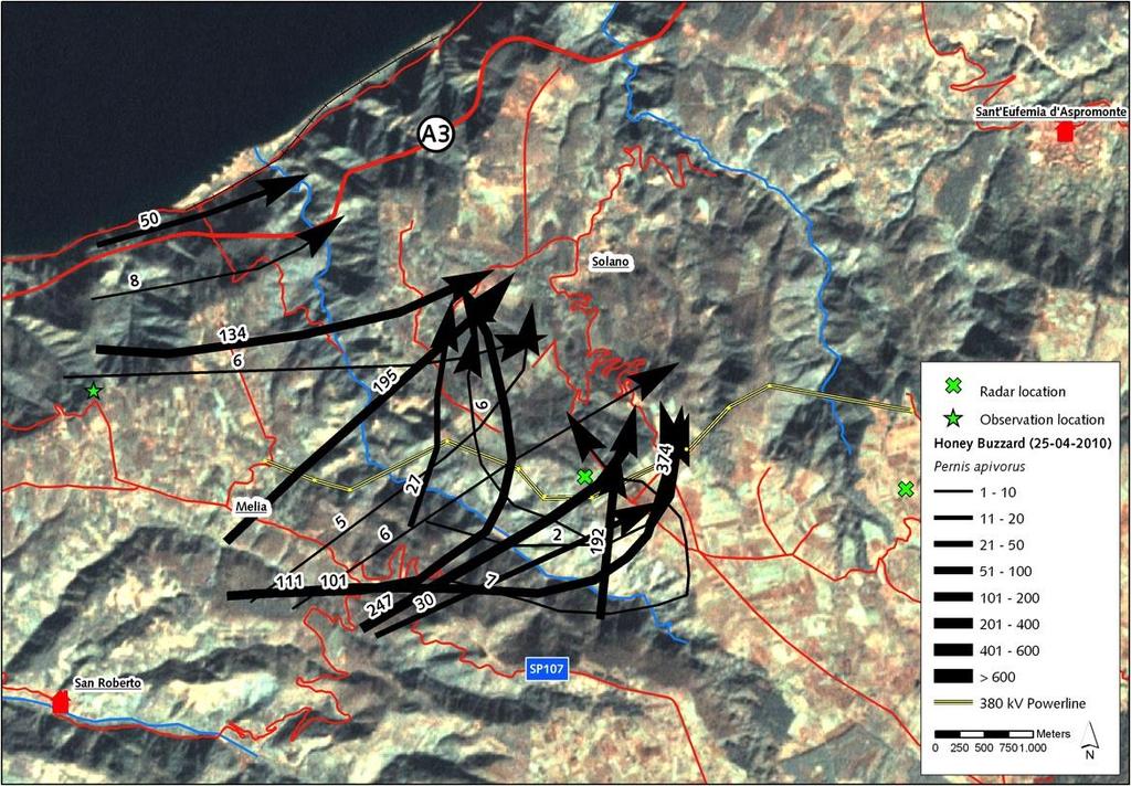 Figure 2.3 Overview of recorded flight patterns of migrating Honey Buzzards in South- Italy on the 25 th of April 2010 (source: Gyimesi et al. 2010).