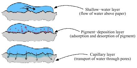 Fluid Dynamic Simulation Use water velocity, viscosity, drag, pressure, pigment