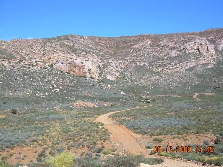 Photo 4: View towards the south of the access road to the proposed