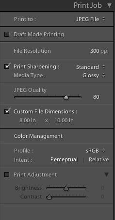 6. Print Job panel for service bureau type C printing: choose print to JPEG File and deselect Draft Mode Printing and Print to File, Ensure 300ppi is active and that your JPEG Quality is between