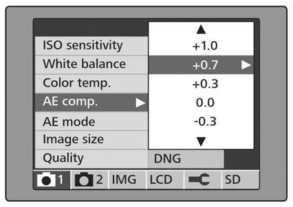 Tip: With high contrasts, underexposure prevents the loss of detail in bright image areas.