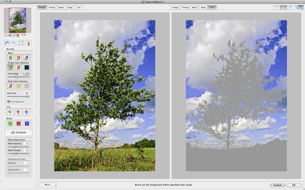 Moving on to the Cut tab, we can take a look at the background sky that has been removed from our tree image. 9.