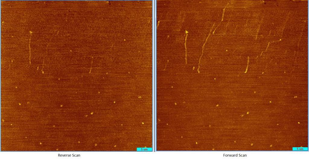 129 a) b) Figure 5.18 a) Topographic image resulted from the revere scan (left) and the corresponding output from the forward scan (right).