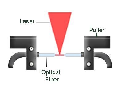 11 Figure 1.5 Schematic representation of the pulling method used to fabricate tapered optical fibers.