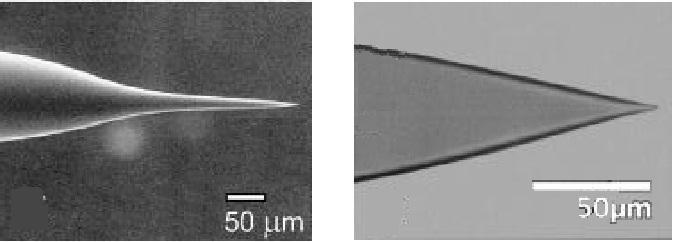 15 In comparison to thermally heated and pulled fibers, chemically etched optical tips have a much shorter taper with larger cone angles, resulting in higher optical efficiency and better mechanical