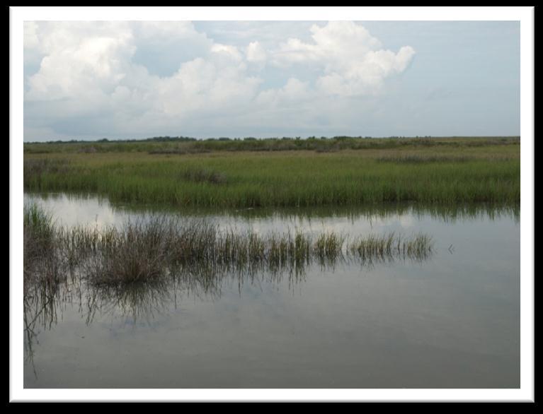 of valuable coastal, estuarine wetlands with associated uplands,