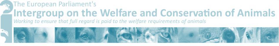 Animal experimentation Implementation of Directive 2010/63/EU: - the animal welfare perspective Kirsty Reid