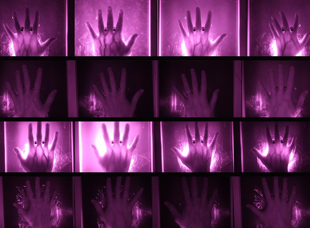 6 VeinPLUS: A Transillumination and Reflection-based Hand Vein Database Figure 8: Sample images from our own hand vein database (arbitrarily chosen, row 1 - left hand transmitted light, row 2 - left