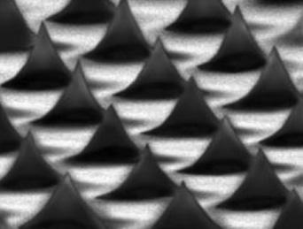 aluminium 1- Dimensional (in the X or Y direction) > 55 nm provides good image contrast parallel ridges 278 nm (3600 periods/mm) ±1nm diameter 12,5 mm, thickness 2,5 mm central diameter 9 mm TGT1