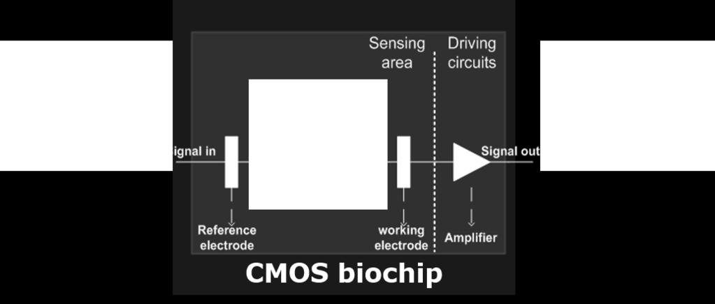 Supplementary Figure 3 Schematics for the impedance-based biochip system Figure S3 The CMOS biochip, including the sensing and circuitry parts.