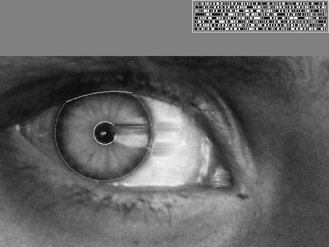Vision- based biometrics