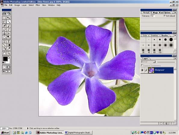 Working with Layers: Let s say you want to get rid of the background surrounding the flower. For that, you need the Magic Wand Tool. This tool allows you to select pixels in the image.