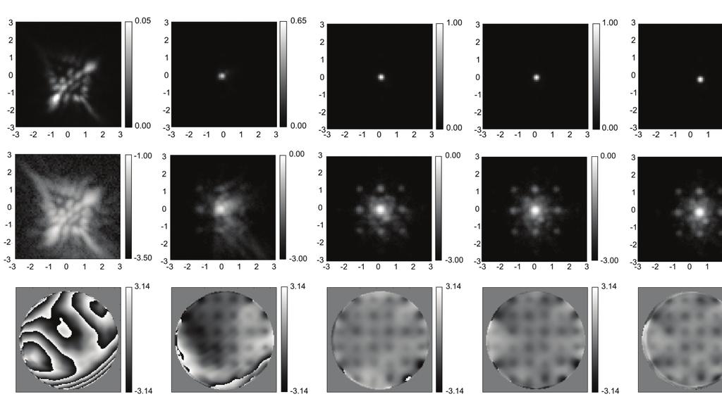 We performed the same measurement but taking only 5 slices per image stack with a step of 1.0 microns.